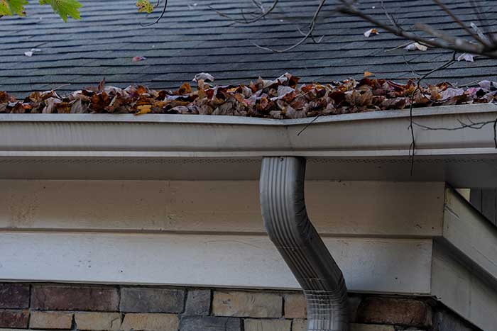 Professional Gutter Cleaning