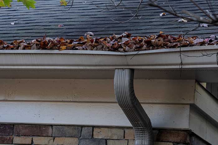 Professional Gutter Cleaning Professional Gutter Cleaning